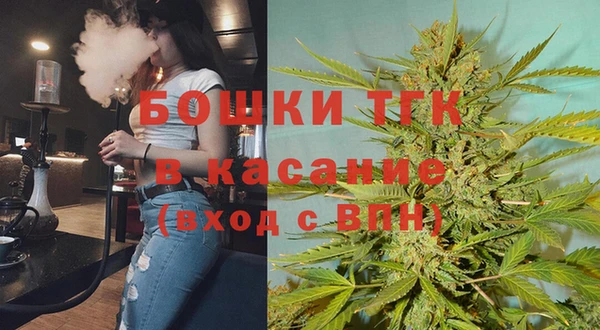 прущие грибы Дегтярск