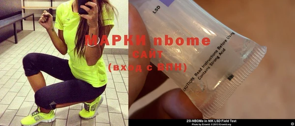 прущий лед Новозыбков