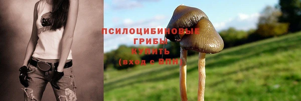 шишки Нязепетровск