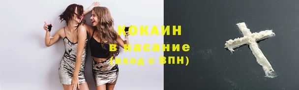 прущий лед Новозыбков