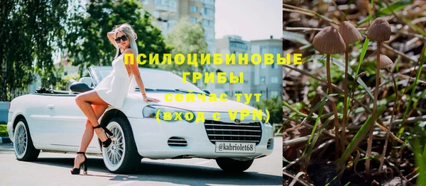 прущий лед Новозыбков