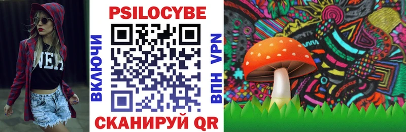 Псилоцибиновые грибы Magic Shrooms  купить закладку  Переславль-Залесский 