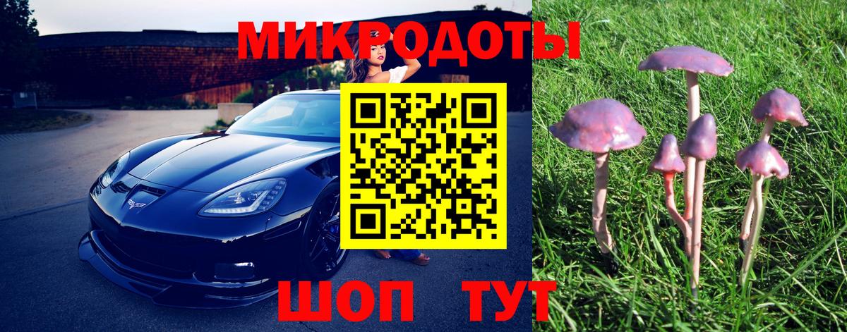 Псилоцибиновые грибы GOLDEN TEACHER  как найти наркотики  Псилоцибиновые грибы GOLDEN TEACHER  Переславль-Залесский 