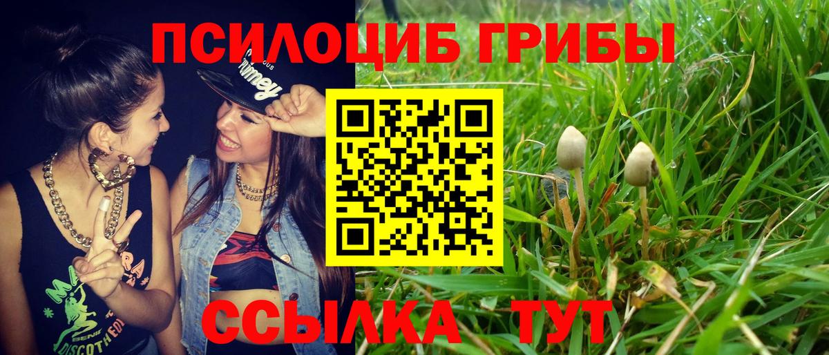Псилоцибиновые грибы мицелий Переславль-Залесский