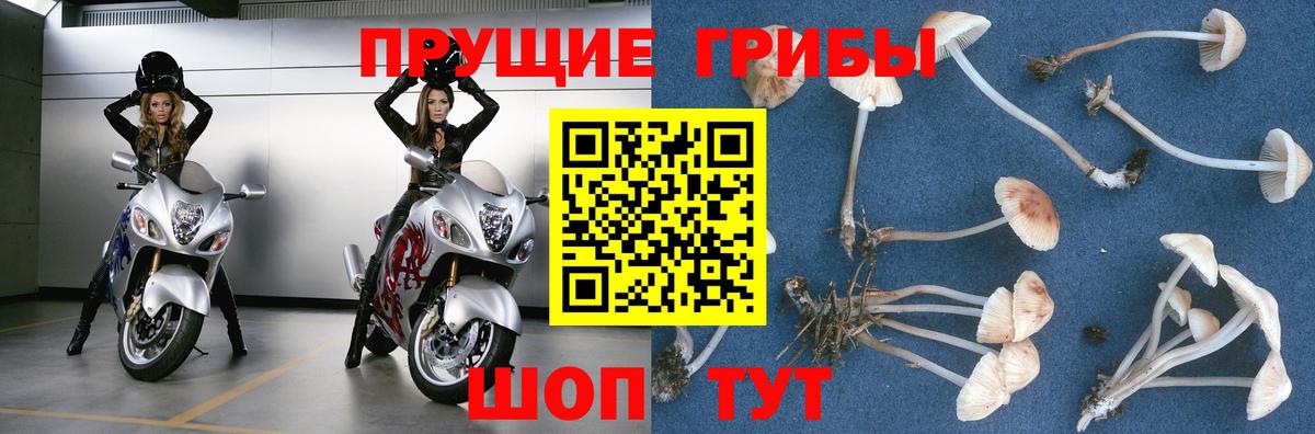 Alpha PVP СОЛЬ   Бошки Шишки  Переславль-Залесский  Кокаин  Мефедрон кристаллы  ГАШ  Экстази  МАРИХУАНА  Гашиш  КЕТАМИН 