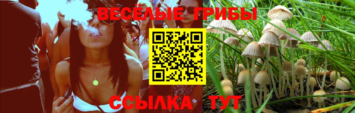 Переславль-Залесский  Галлюциногенные грибы Cubensis  Вход с VPN 